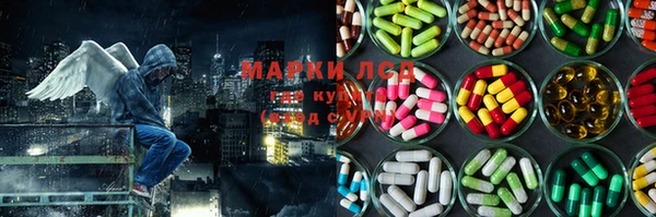 мяу мяу мука Алзамай