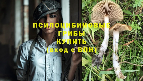 кристаллы Алексин