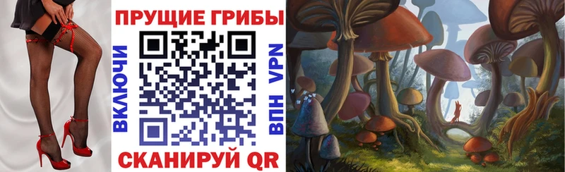 Галлюциногенные грибы ЛСД  где продают   Ардатов 